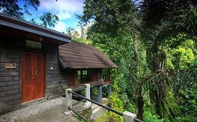 Bali Jungle Resort